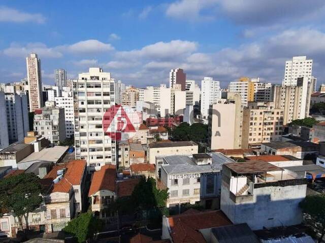 #1237 - Quitinete / Conjugado para Locação em São Paulo - SP - 1
