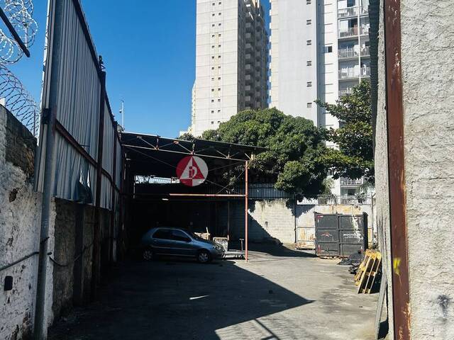 Terreno para Locação em São Paulo - 5